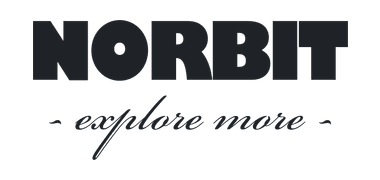 NORBIT logo